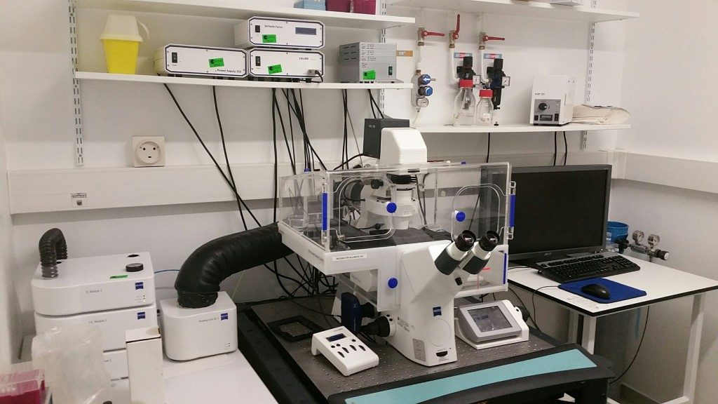 Microscope widefield Definite Focus Research Institut Pasteur