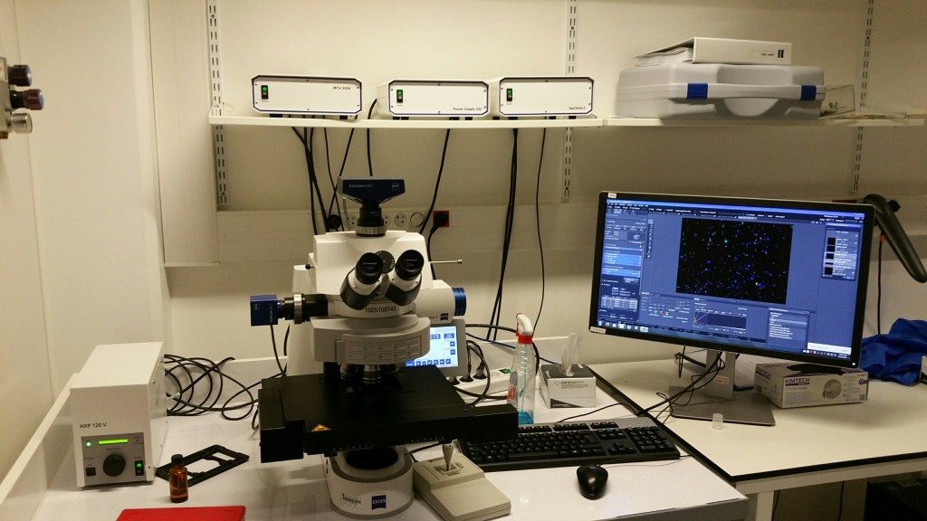 Microscope widefield apotome2 upright Research Institut Pasteur