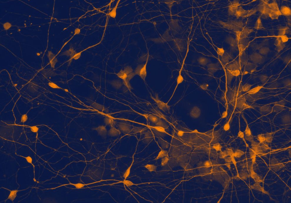 Download Equipe zitate Free