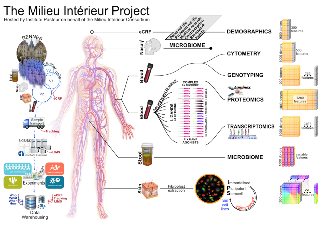 Darragh Duffy - Lluis Quintana-Murci - Group : Milieu Intérieur ...