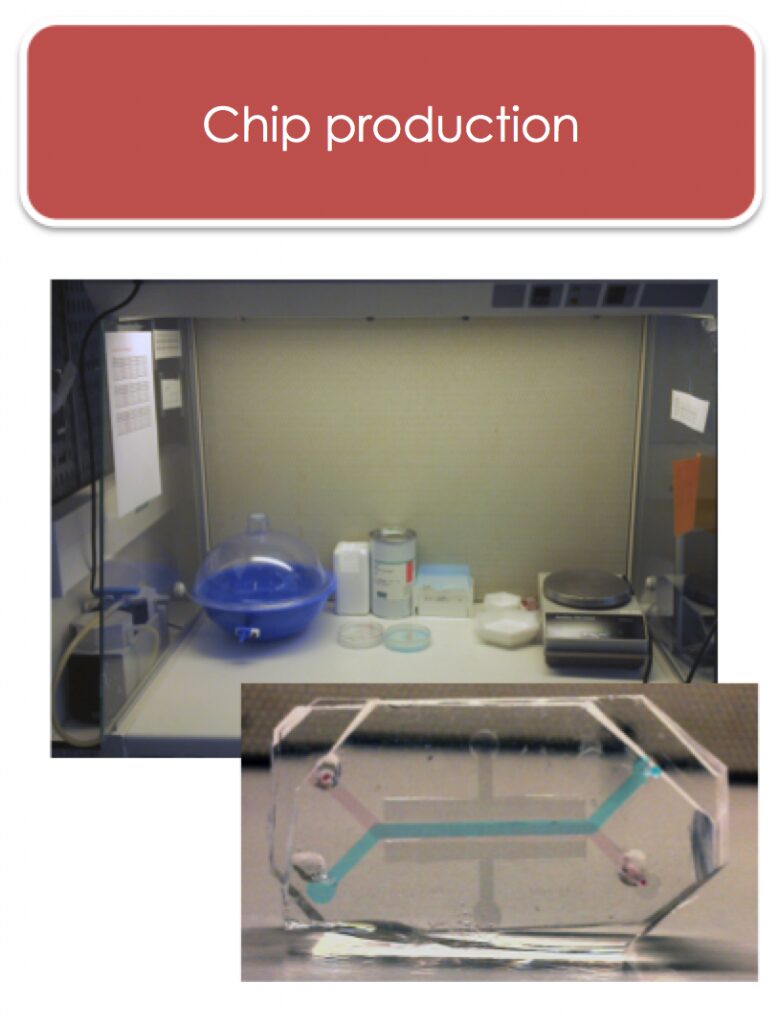 Chip Prod2
