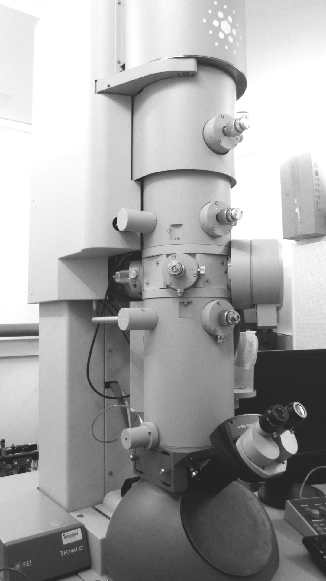 transmission electron microscope