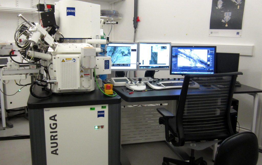 Focused Ion Beam Scanning Electron Microscope Research Institut Pasteur