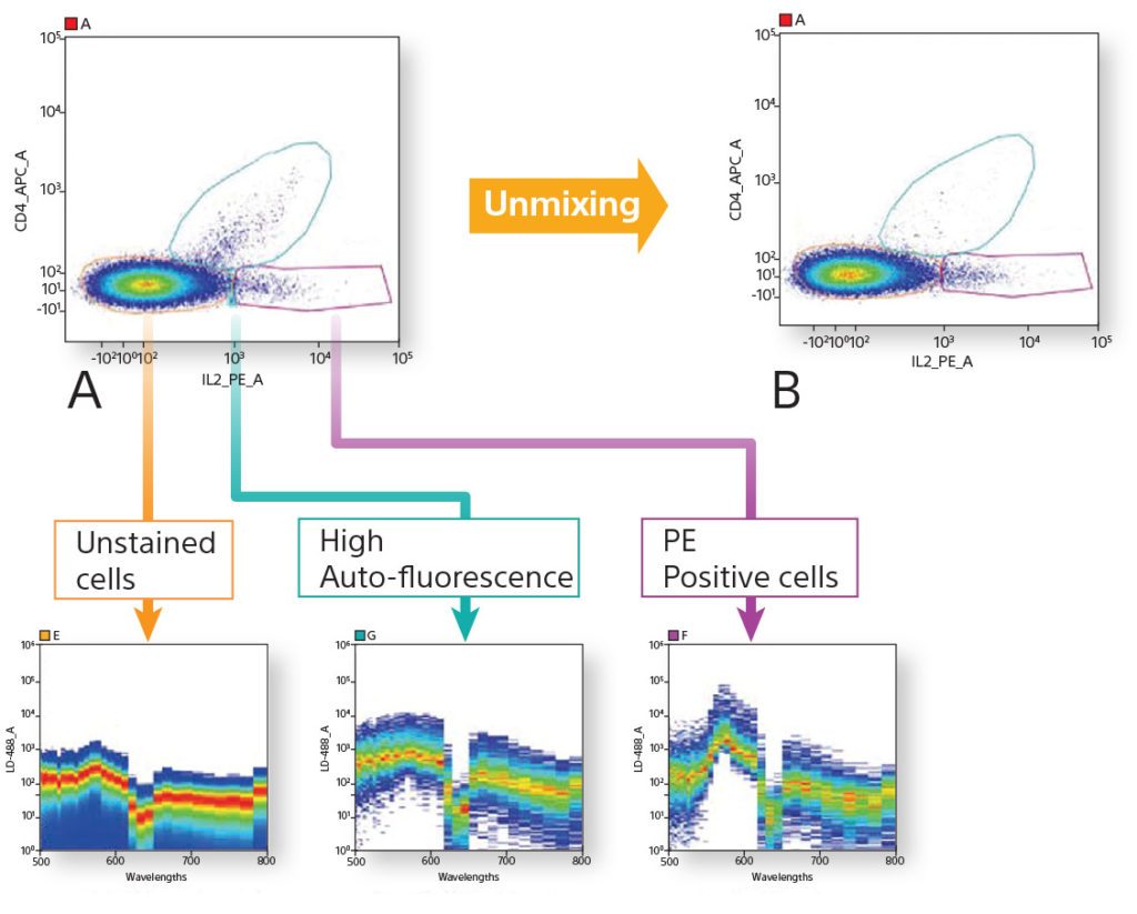 Sophie Novault - Single Cell Phenotyping – Flow Cytometry - Research ...