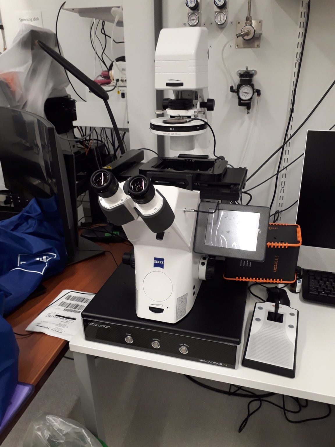 STED microscope - Research - Institut Pasteur