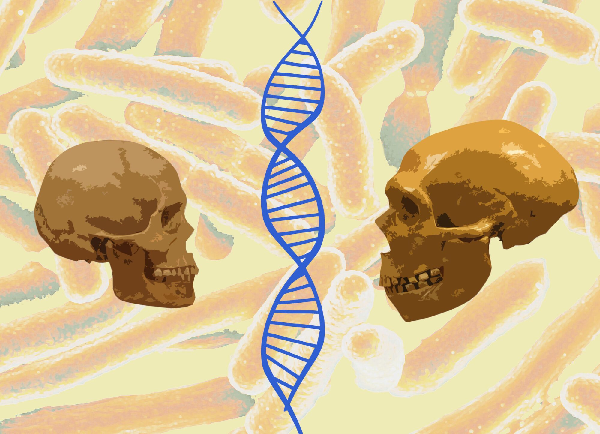 Human Population and Evolutionary Genetics