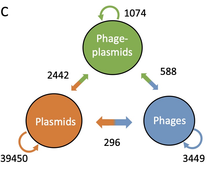 PP recombination